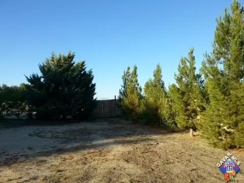 46125 E 125th St, Lancaster, CA 93535 photo 10