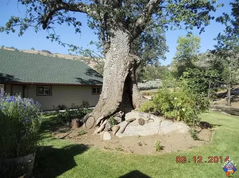 26620 Frontier Way, Tehachapi, CA 93561 photo 23