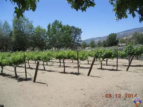 26620 Frontier Way, Tehachapi, CA 93561 photo 12