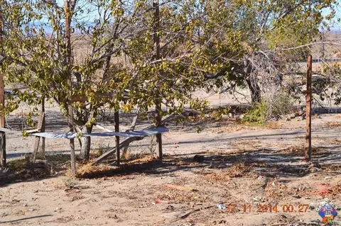 47918 120th St, Lancaster, CA 93535 photo 23