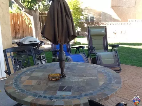 4805 E Halen St, Palmdale, CA 93552 photo 14