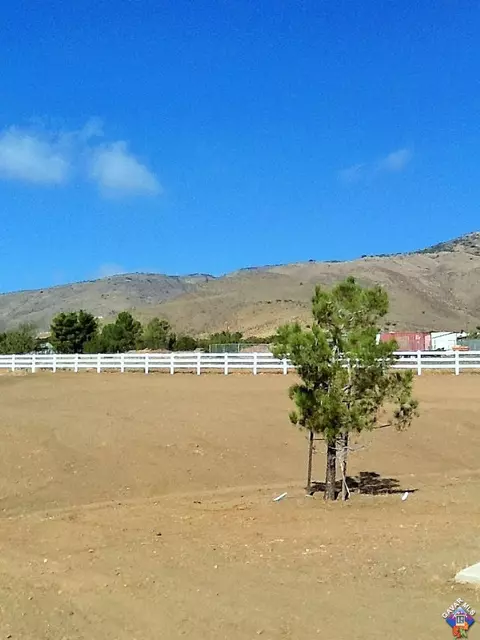 35434 Macomb Rd, Acton, CA 93510 photo 66