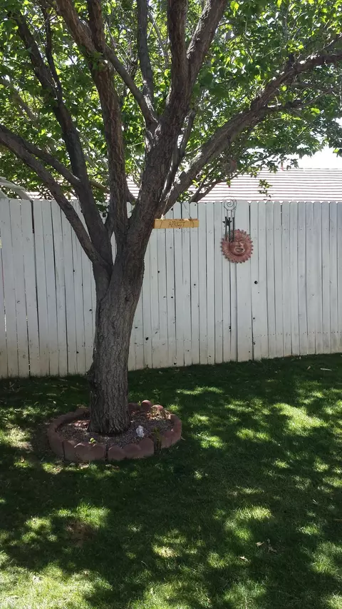 45533 Pickford Ave, Lancaster, CA 93534 photo 31