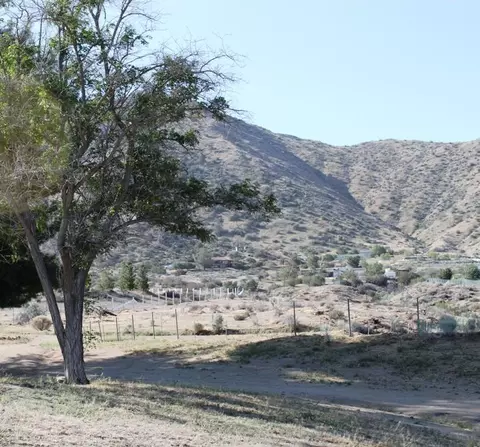 1110 Searchlight Ranch Rd, Acton, CA 93510 photo 13