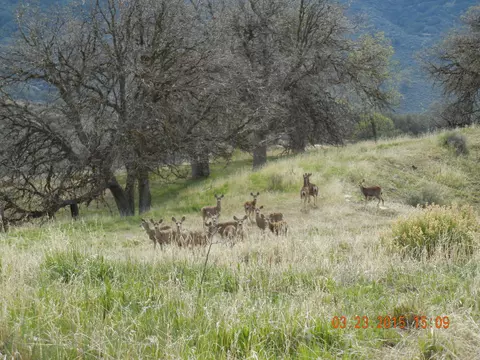 23655 Reindeer Dr, Tehachapi, CA 93561 photo 3