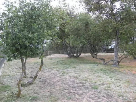 26440 Winchester Ct, Tehachapi, CA 93561 photo 13