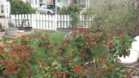 14556 Tehachapi Blvd Spc 6 E #6, Tehachapi, CA 93561 photo 4