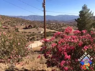 6749 Ranchitos Dr, Acton, CA 93510 photo 6