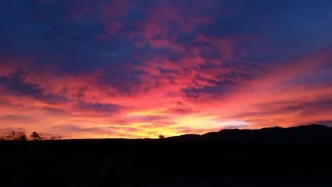 25420 Ranger Ct, Tehachapi, CA 93561 photo 5