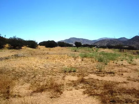 1625 Tortuga St, Acton, CA 93510 photo 4