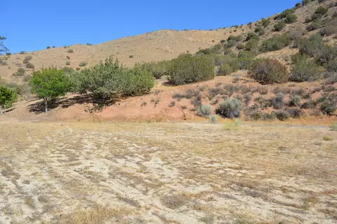 2654 Bent Spur Dr, Acton, CA 93510 photo 13