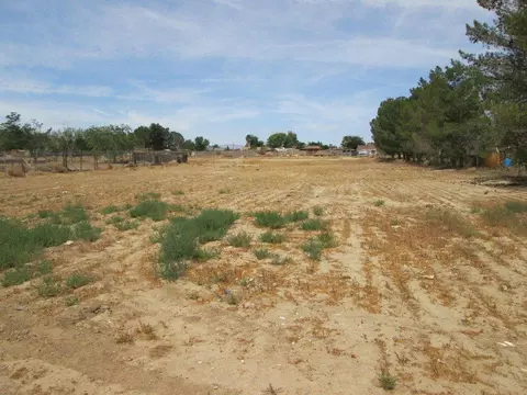 38543 152nd St, Palmdale, CA 93591 photo 25
