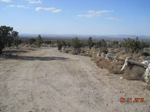 32000 263rd St E, Llano, CA 93544 photo 16