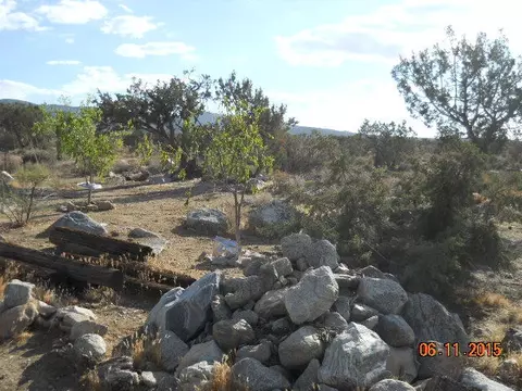 32000 263rd St E, Llano, CA 93544 photo 20