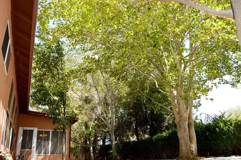 43232 Durango Ln, Lancaster, CA 93536 photo 47