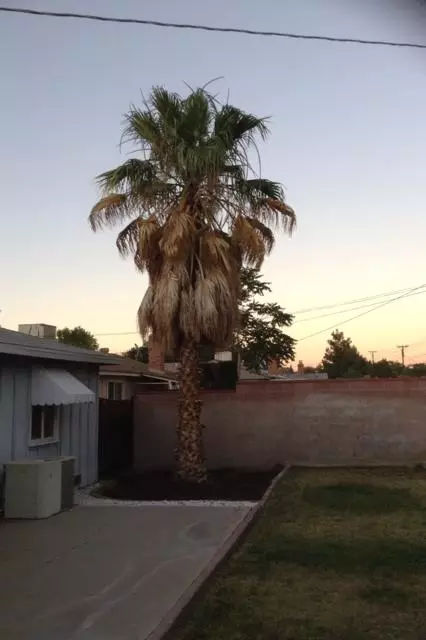 1448 Kettering St W, Lancaster, CA 93534 photo 4