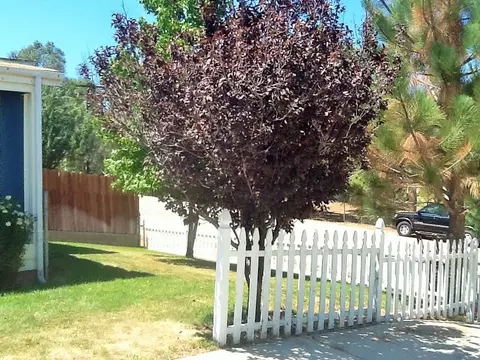 3846 Nickels Ave, Acton, CA 93510 photo 4