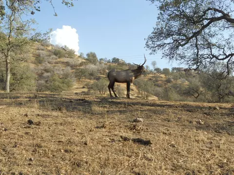 30500 Comanche Point Rd, Tehachapi, CA 93561 photo 28