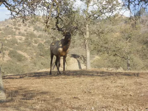 30500 Comanche Point Rd, Tehachapi, CA 93561 photo 30