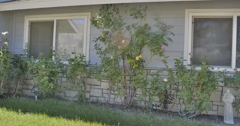 22832 Retreat Pl, Tehachapi, CA 93561 photo 2