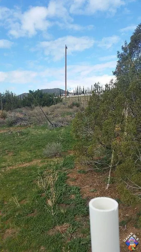 33440 Sunrise View Ln, Acton, CA 93510 photo 15