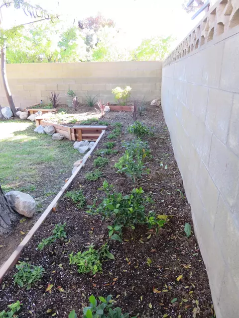 2828 Perfect Pl, Lancaster, CA 93536 photo 54