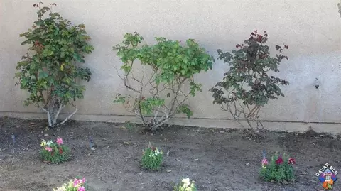 43448 32nd St E, Lancaster, CA 93535 photo 5