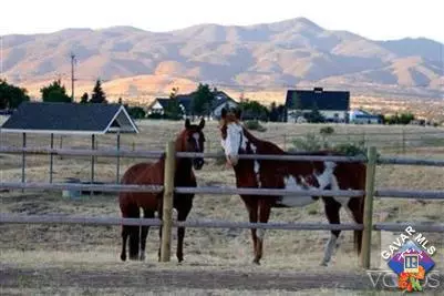 23537 Larkspur Ave, Tehachapi, CA 93561 photo 8