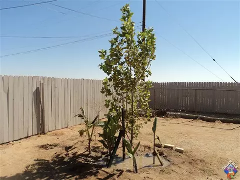 12100 Kostopolous Ave, Boron, CA 93516 photo 31