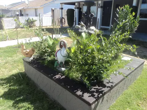 12100 Kostopolous Ave, Boron, CA 93516 photo 40