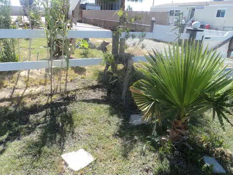 12100 Kostopolous Ave, Boron, CA 93516 photo 35