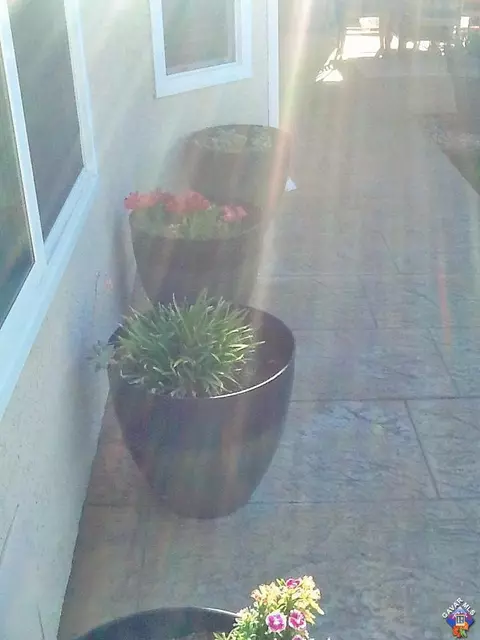 2020 Shadow Canyon Rd, Acton, CA 93510 photo 75