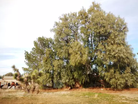 43017 7th St E, Lancaster, CA 93535 photo 19