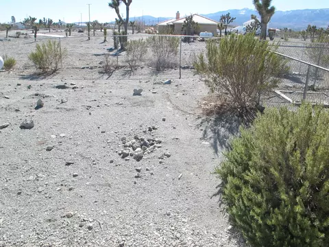 12030 Buckwheat Rd, Pinon Hills, CA 92372 photo 3