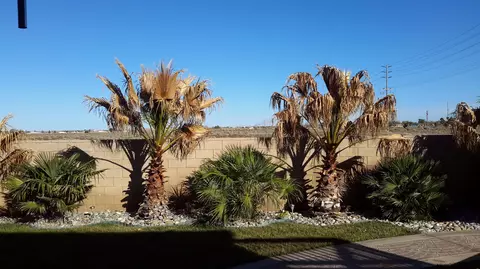 43610 57th St W, Lancaster, CA 93536 photo 25