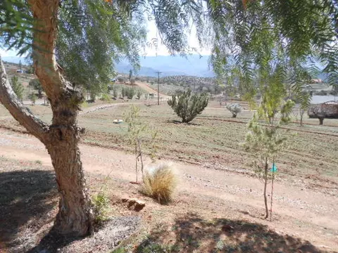 34900 Acton Canyon Rd, Acton, CA 93510 photo 34