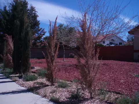 1510 Thomas Dr, Lancaster, CA 93535 photo 2