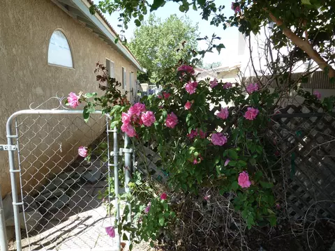 44704 Cerisa St, Lancaster, CA 93535 photo 18