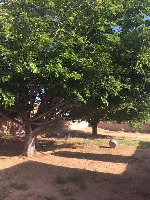 37651 Robin Ln, Palmdale, CA 93550 photo 3