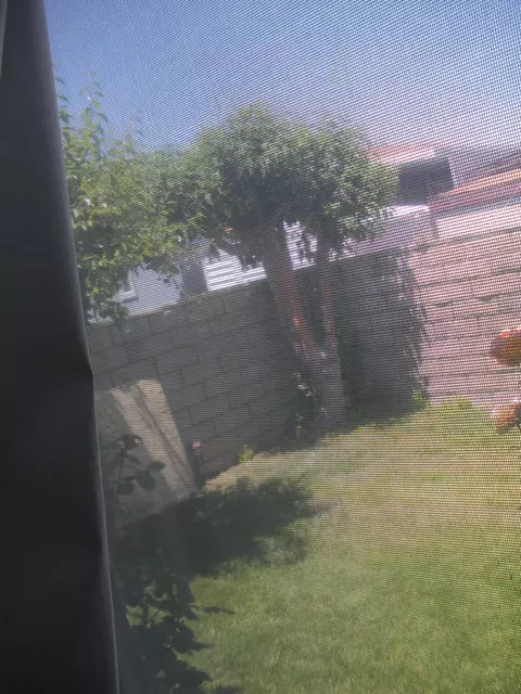45465 25th St East Sp36 #., Lancaster, CA 93535 photo 26