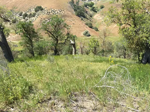 23021-29 Tulip St, Tehachapi, CA 93561 photo 4