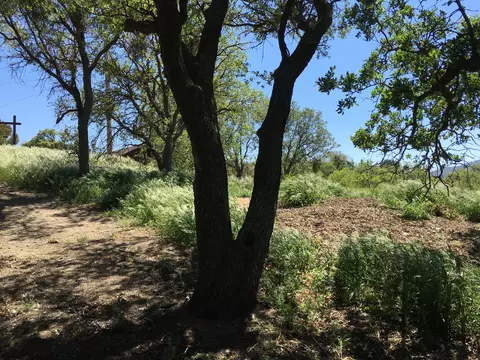 23021-29 Tulip St, Tehachapi, CA 93561 photo 3