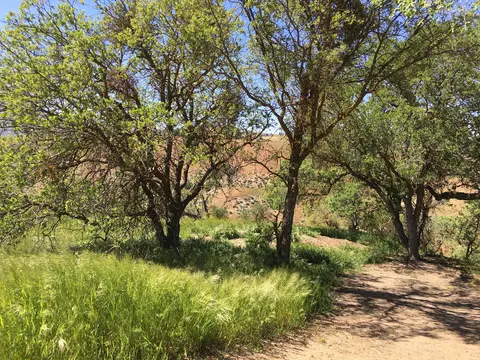 23021-29 Tulip St, Tehachapi, CA 93561 photo 2