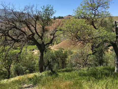 23021-29 Tulip St, Tehachapi, CA 93561 photo 7