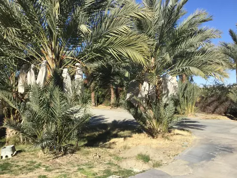 49450 Jefferson St, Indio, CA 92201 photo 2