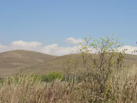 19601 Meadows Rd, Tehachapi, CA 93561 photo 5