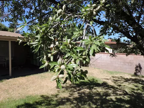 531 Nugent St E, Lancaster, CA 93535 photo 5