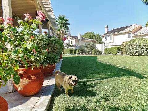 44514 Stonebridge Ln, Lancaster, CA 93536 photo 47