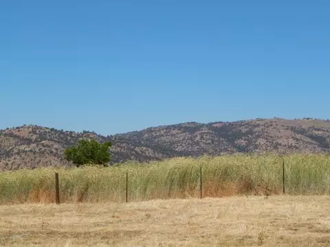 27401 Man O War Dr, Tehachapi, CA 93561 photo 34