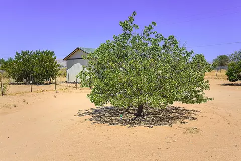 21350 Standing Rock Ave, Apple Valley, CA 92307 photo 26